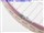ACeC[W