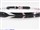 ACeC[W