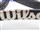 �A�C�e���C���[�W
